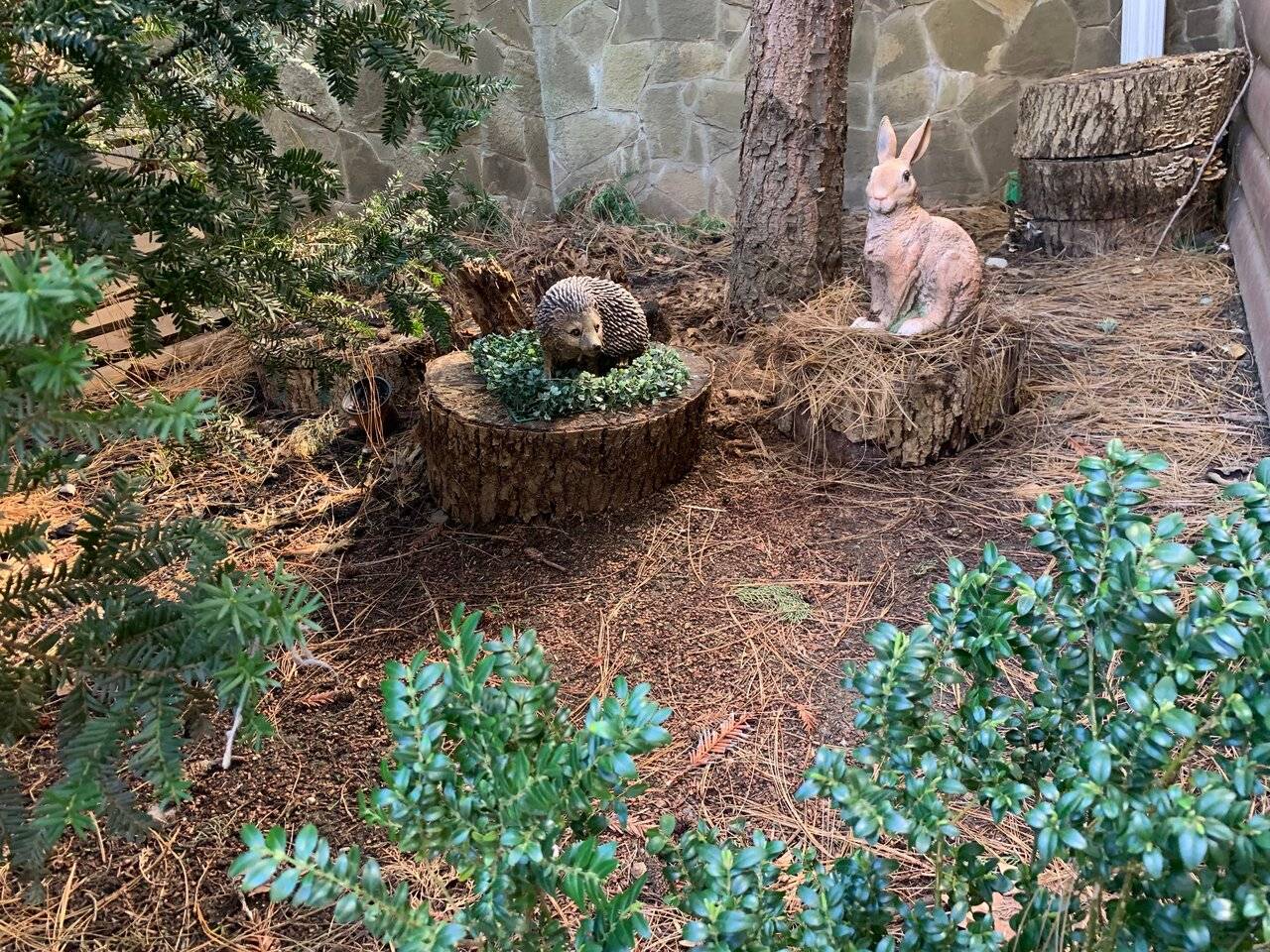 Фото Гостевого дома АКС Сочи 112