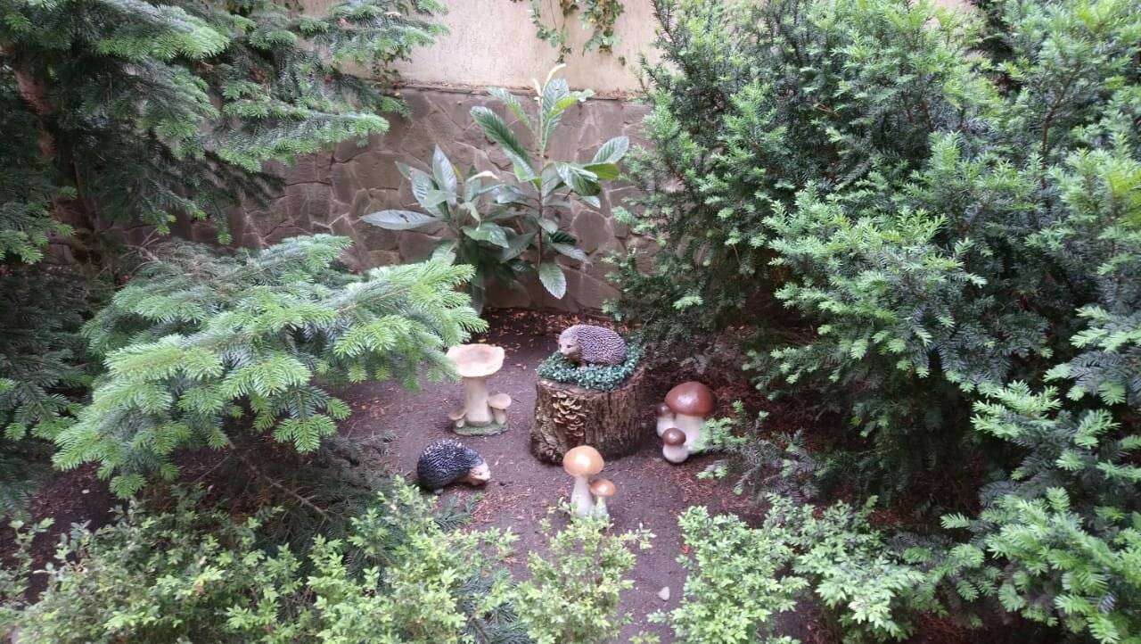 Фото Гостевого дома АКС Сочи 107