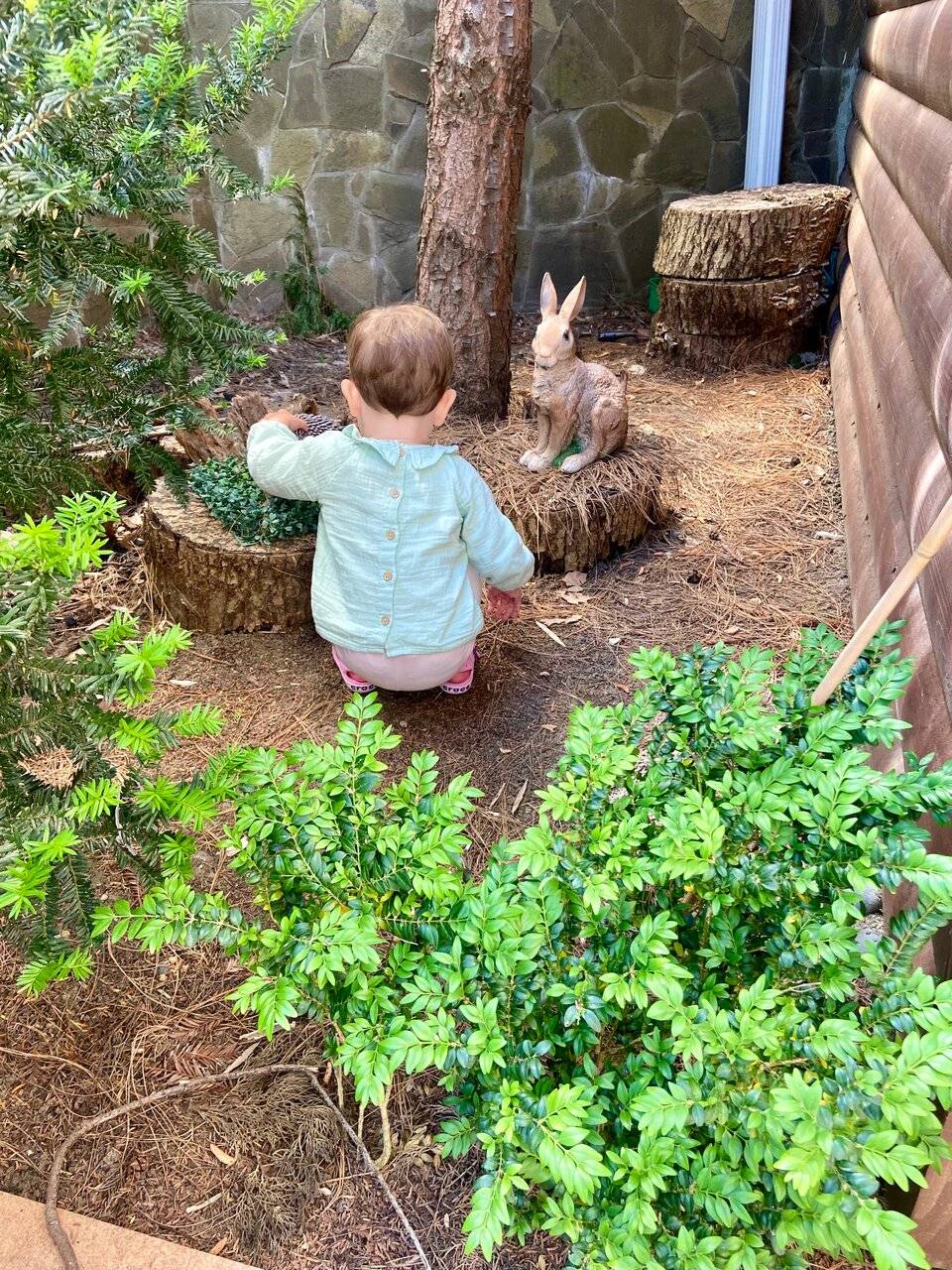 Фото Гостевого дома АКС Сочи 98