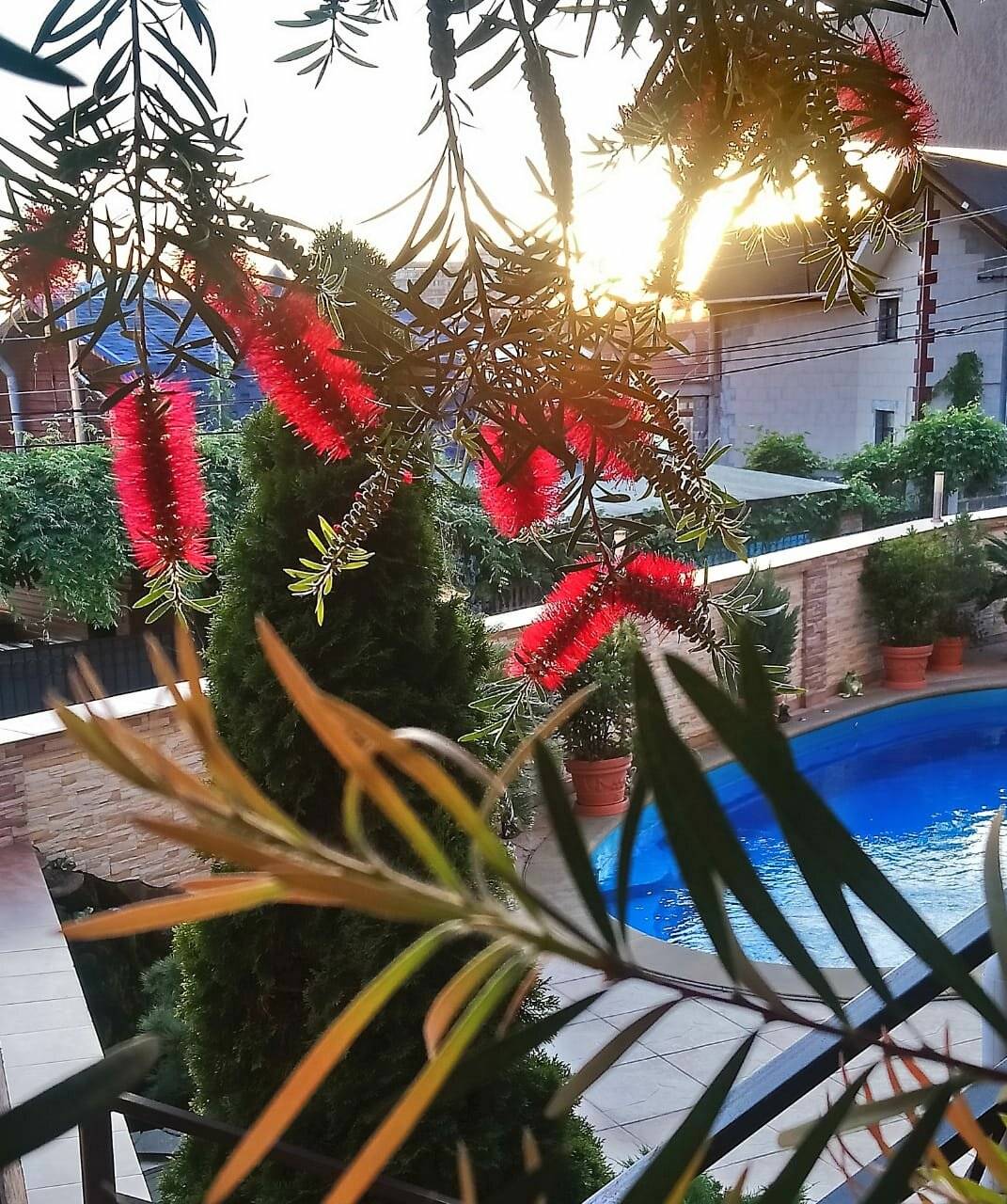 Фото Гостевого дома АКС Сочи 79