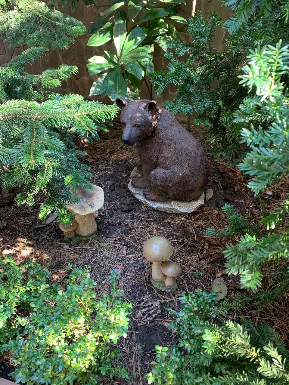 Фото Гостевого дома АКС Сочи 72