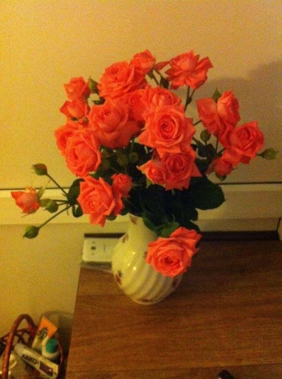 Фото Гостевого дома АКС Сочи 21