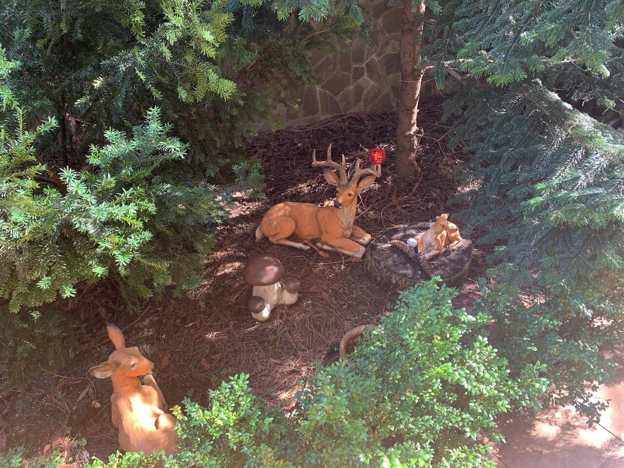 Фото Гостевого дома АКС Сочи 80