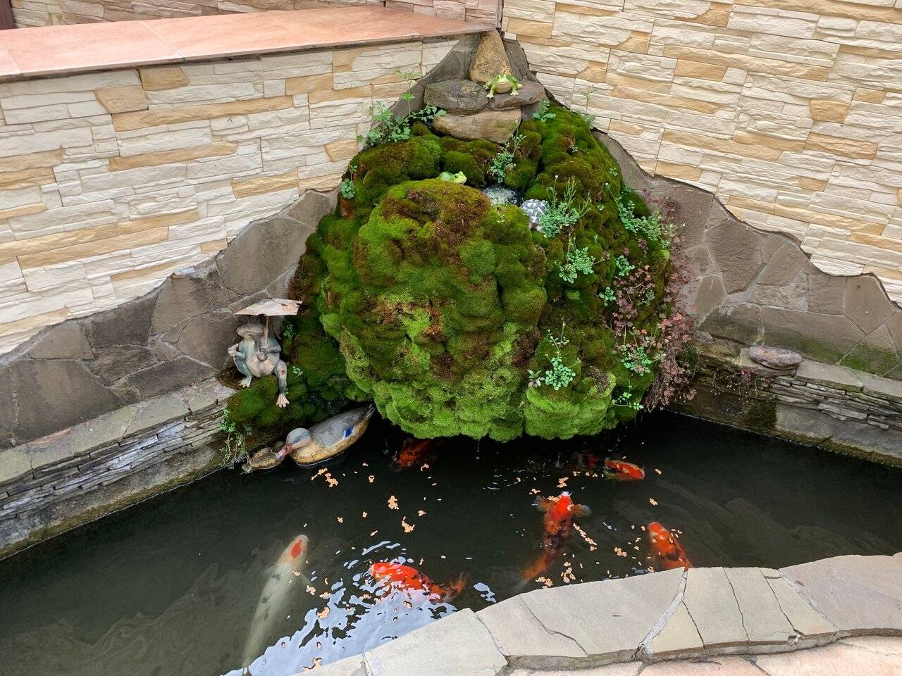 Фото Гостевого дома АКС Сочи 78