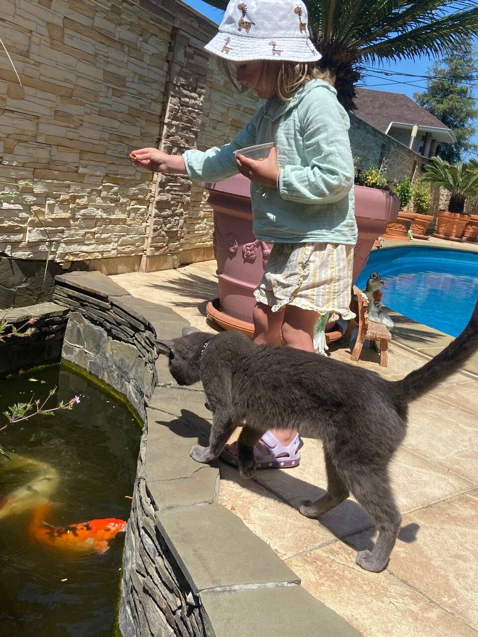 Фото Гостевого дома АКС Сочи 74