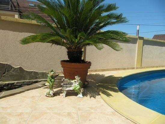 Фото Гостевого дома АКС Сочи 38